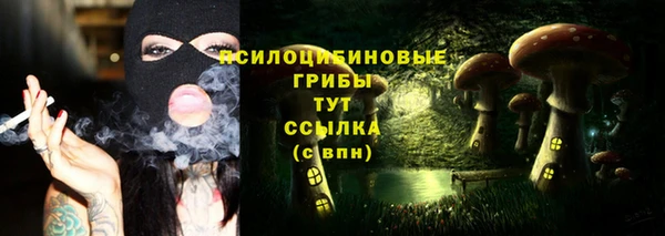 Альфа ПВП Пестово