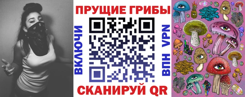 как найти наркотики  Собинка  Галлюциногенные грибы Cubensis 